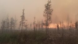В России горят сотни тысяч гектаров леса