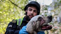 Bombardamentele rusești au făcut victime în Zaporojie; regiunile Sumî și Odesa au fost, de asemenea, lovite