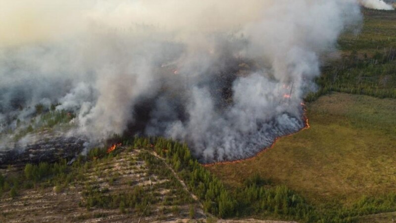 Лесной пожар в 36 километрах от Йошкар-Олы. Объявлена эвакуация курортного поселка Сосновый Бор 