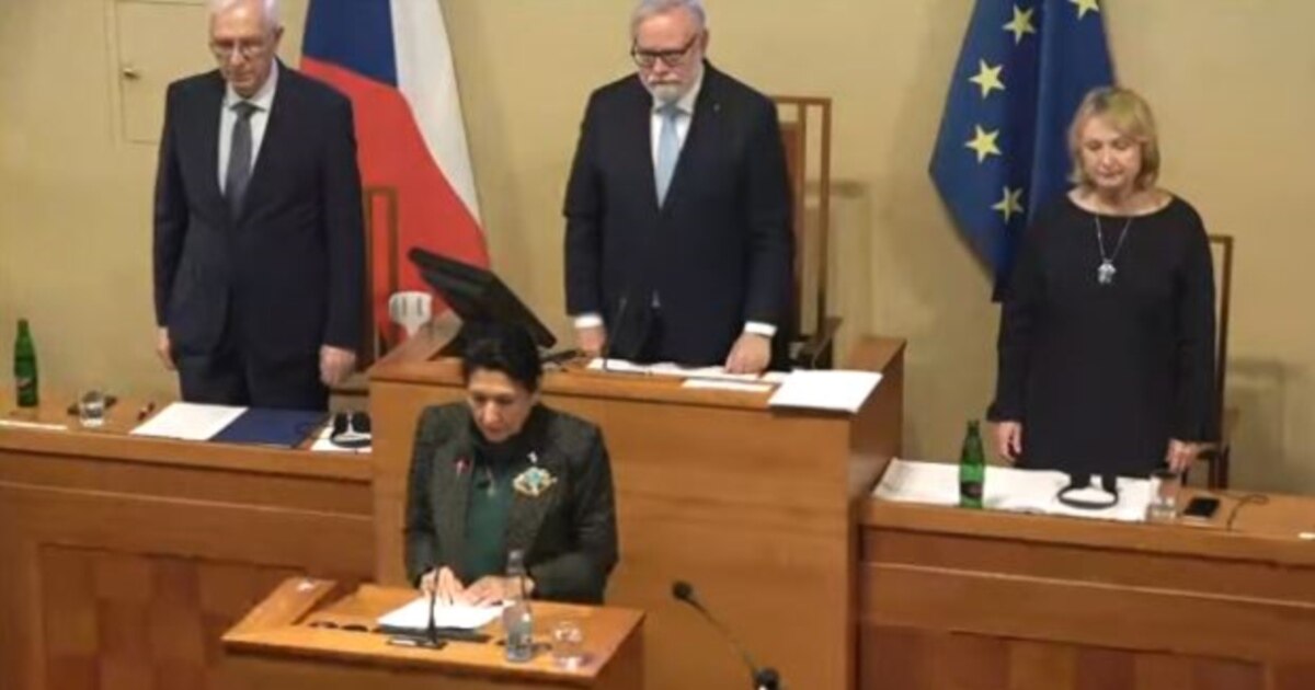 „ევროკავშირის რეაგირება საფრთხის სიმძიმეს არ შეესაბამება“ - კიდევ რა თქვა სალომე ზურაბიშვილმა ჩეხეთის სენატში სიტყვით გამოსვლისას