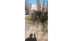 В Крыму у здания Верховного суда задержан крымский татарин