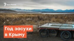 2019. Крым. Засуха | Радио Крым.Реалии