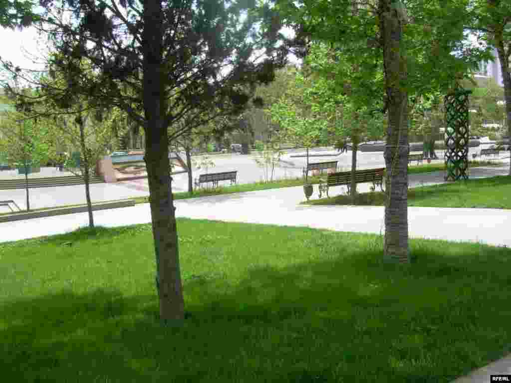 Bakıda gül bayramına hazırlıq gedir #23