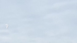 “Проникновение внешних объектов”. Опубликован предварительный отчет по авиакатастрофе в Актау