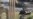 Syria Says 2,000 Troops Have Died