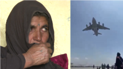 سقوط از طیارۀ نظامی؛ خانواده های که چهار سال است سوگ‌وار اند
