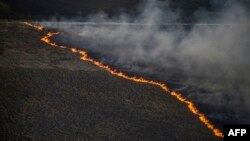 Украинадағы Чернобыль АЭС-іне жақын аумақта шыққан орман өрті (Көрнекі сурет).