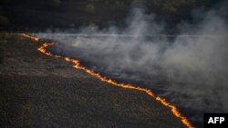 Пожежа в зоні відчуження, фото архівне