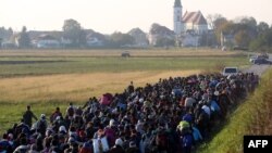 Izbjeglice na slovensko - hrvatskoj granici u mjestu Rigonce 2015. godine