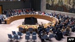 Рада безпеки, що складається з 15 членів, проголосувала 11 головами «за» резолюцію, двома – «проти» і двома «утрималися»