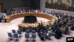 Голосование на заседании Совбеза ООН, 7 апреля