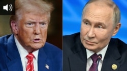 Дональд Трамп и Владимир Путин. Коллаж 