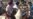16x9 Image