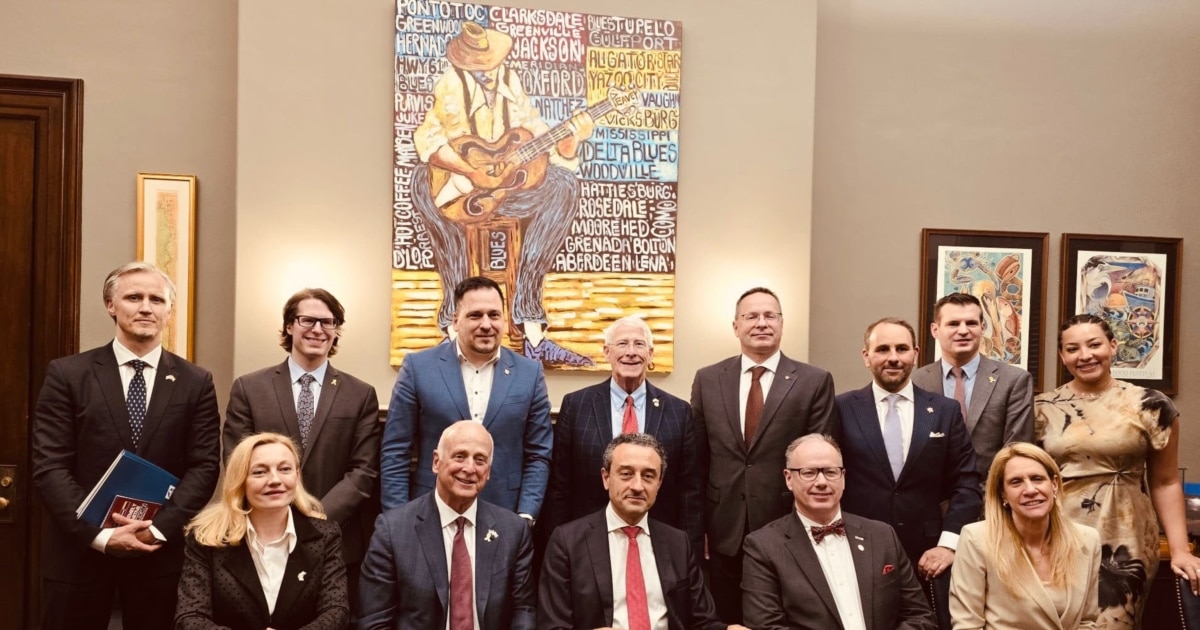 საქართველოს თანამდებობის პირებიც რადარზე უნდა გვყავდეს - ევროპარლამეტარი კოლსი სენატორთან შეხვედრის შემდეგ სანქციებზე