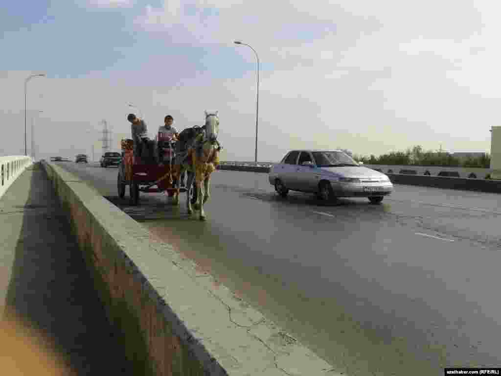 Köpriniň üstünden geçip barýan eşek araba