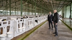 Əliyev ət problemini kökündən həll edəcəyini deyir