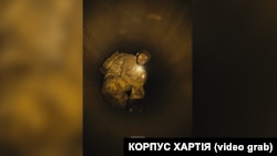 Кадри з відео про операцію «Велес» 2-го корпусу НГУ «Хартія»