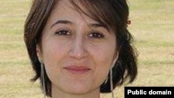 Gelareh Bagherzadeh, a Texas Medical Center student and Iranian activist was shot dead in Houston in 2012. 