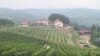 Vinogradi kod Banjaluke