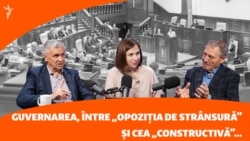 Negru și Boțan despre cât de constructivă sau populistă va fi opoziția parlamentară  Negru și Boțan despre cât de constructivă sau populistă va fi opoziția parlamentară