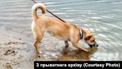 Ілюстрацыйнае фота