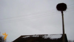 Такое жыцьцё: Цёмная дарога на Смаленск