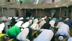 Иллюстратив фото