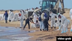 მოხალისეები ასუფთავებენ ნავთობპროდუქტებით დაბინძურებულ ანაპის პლაჟს 