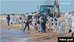 Волонтеры убирают мазут на пляже в Анапе, Краснодарский край, Россия, 16 апреля 2026 года