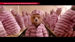 В России перенесли премьеру фильма «Паддингтон» ради патриотического кино (видео)