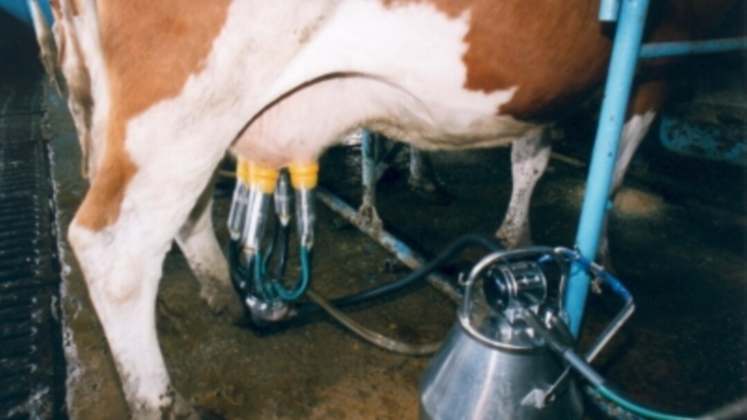 Жыныс машиналары жұмыс істейді Іштегі кеудедегі порно фотосуреттер