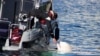  Hvaldimir the beluga whale in Hammerfest, Norway, in June 2019