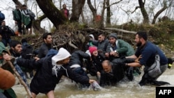 A refugee family falls into a river they try to cross to reach Macedonia from a makeshift camp near the Greek border village of Idomeni.