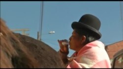 Коренные жители Боливии пьют ослиное молоко для борьбы с болезнями