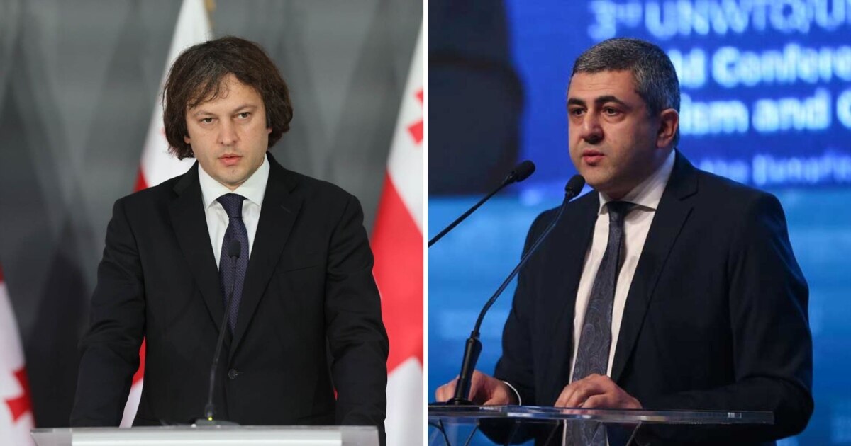 გადაწყვეტილება იყო აბსოლუტურად მართებული - კობახიძე პოლოლიკაშვილისთვის მხარდაჭერის გაუქმებაზე