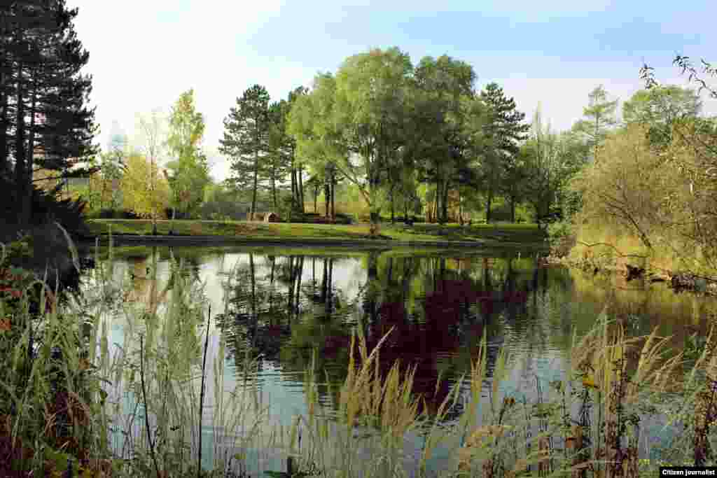 Австри, Вена, Wasserpark. Эрсно Казбекан сурт. 