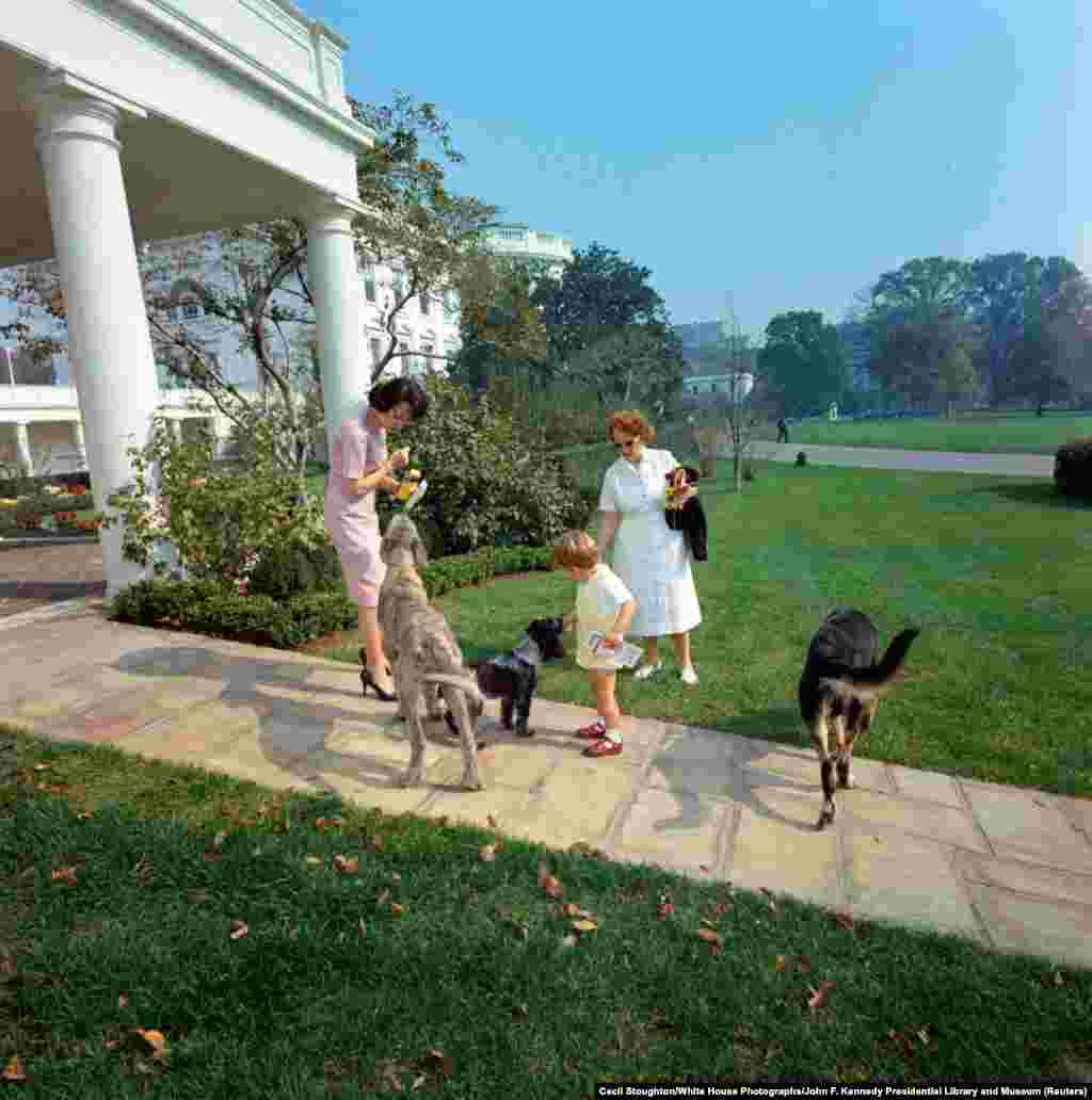 24 жовтня 1963 року.&nbsp;Джон Кеннеді-молодший, син 35-го президента США Джона Кеннеді, разом із нянею та секретаркою Евелін Лінкольн (ліворуч) годує собак родини Вольфа (зліва), Шеннон (посередині) та Кліпера (праворуч) на доріжці біля Овального кабінету Білого дому
