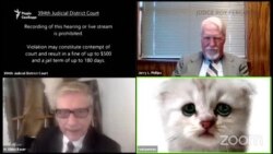 Відео з адвокатом на онлайн-засіданні суду в образі котика швидко стало вірусним
