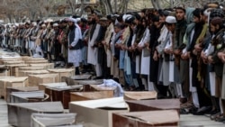 ملل متحد اعلام کرد که در درگیری‌ها میان حکومت طالبان و پاکستان در سال جاری ۳۷۲ غیرنظامی جان باخته‌اند