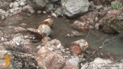 Բնապահպանները ահազանգում են՝ Տավուշի մարզում անտառապատ տարածքները նոսրանում են