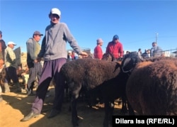 Бакпан Коспанов привез овец из Байдибекского района на продажу в Карабулак