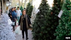 An Iranian woman walks past Christmas trees for sale in central Tehran, December 23, 2015