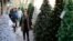An Iranian woman walks past Christmas trees for sale in central Tehran, December 23, 2015