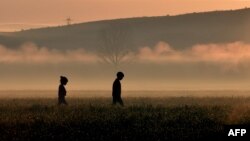 Copii pe un câmp din apropierea taberei de refugiați de la Idomeni, Grecia, martie 2016