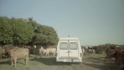 Лягушки, веревки и смс-ки. Как лечат друг друга деревенские жители Аргентины?