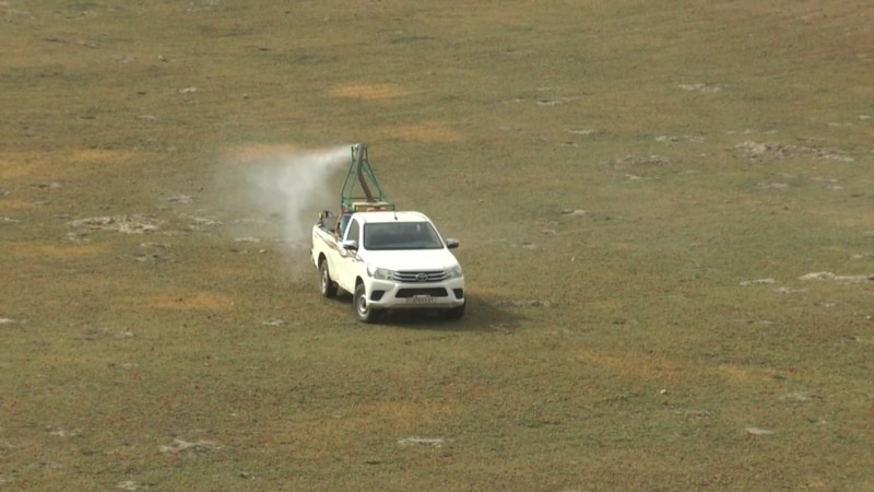 Хатлон бо ҳамлаи малахи марокашӣ рӯбарӯ шудааст