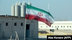 The national flag flies at Iran's Bushehr nuclear power plant in November. 