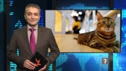 تازه های جهان در ستودیوی آزادی