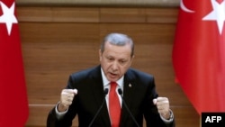 Turkish President Recep Tayyip Erdogan delivers a speech in Ankara in January.