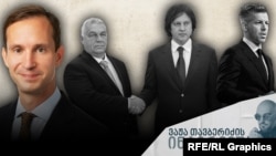 AEI-ს უფროსი მკვლევარი დალიბორ როჰაჩი უნგრეთის არჩევნებზე